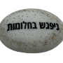  זיכרון להנצחה להנחה על הקבר ניפגש בחלומות