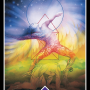  חזון חדש ערכת קלפי הטארוט אושו זן OSHO טארוט בעברית 