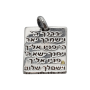  מכסף 925 תליון שדי מגן דוד ויברכך  PO00048