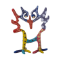 צילום קדמי