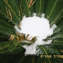 פרץ אבוהב ערכת קלפי סיגליות  קלף לשחרר לחצים
