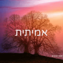  קלפי נוכחות זוהרת העצמה בגישת סטיילינג הוליסטי קלף אמיתית