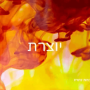  קלפי נוכחות זוהרת העצמה בגישת סטיילינג הוליסטי קלף יוצרת