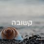 קלפי נוכחות זוהרת העצמה בגישת סטיילינג הוליסטי קלף קשובה
