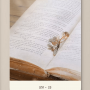 insight קלפים קסומים לתובנות חיבור פנימי ובהירות רגשית  נעמי יוגב קלף זמן