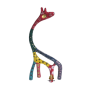 צילום קדמי 