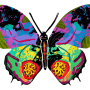 דוד גרשטיין David Gerstein דגם יצירה פרפר הדר צד 2 Hadar Butterfly