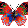 דוד גרשטיין David Gersteinצד 1 דגם יצירה פרפר הדר Hadar Butterfly