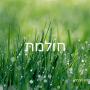ערכת קלפי נוכחות זוהרת העצמה בגישת סטיילינג הוליסטי קלף חולמת